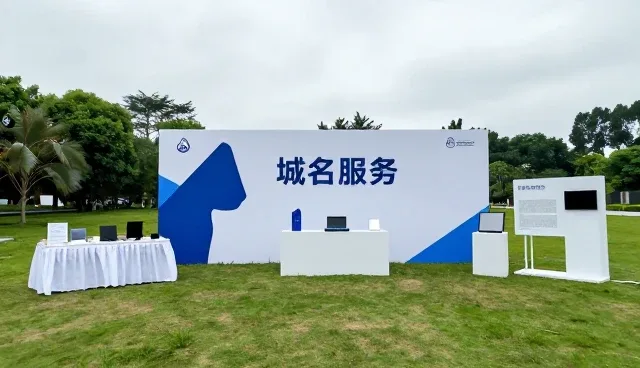 网站稳定性问题的识别与应对策略