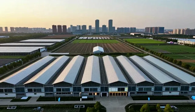 SEO优化中的业务模式如何适配不同性能需求